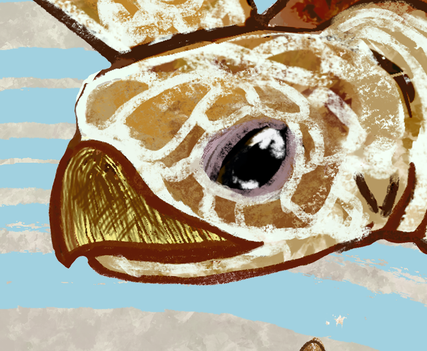 The Reef Turtle Fine Art Canvas 24" x 36"