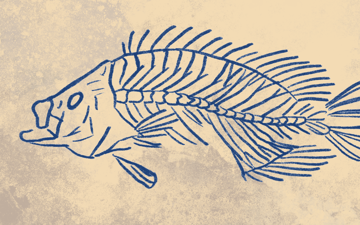 Naturalist Grouper Fine Art Print 12" x 18"