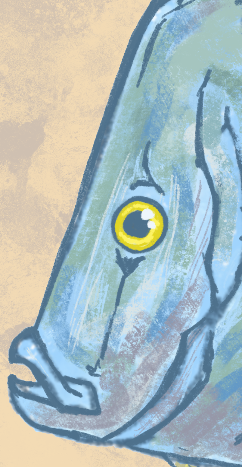 Naturalist Lookdown Fish Fine Art Print 12" x 18"