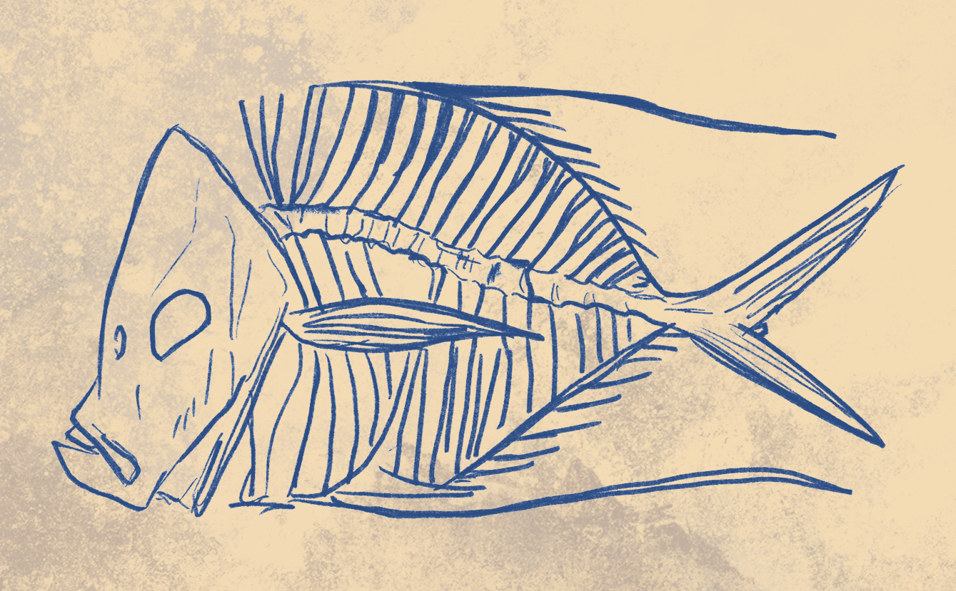 Naturalist Lookdown Fish Fine Art Print 12" x 18"