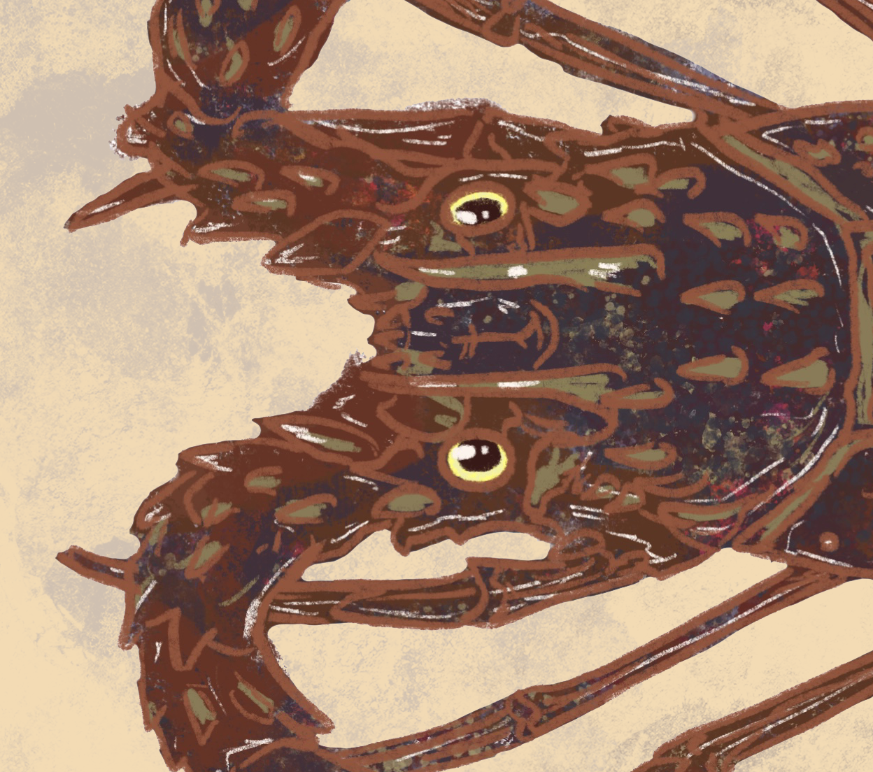 Naturalist Spiny Lobster Fine Art Print 12" x 18"