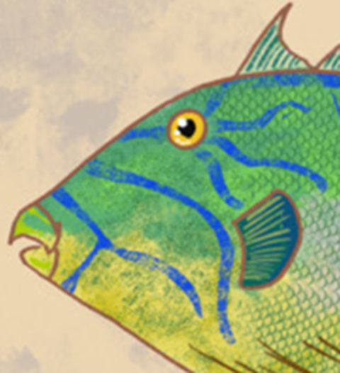 Naturalist Queen Triggerfish Fine Art Print 12" x 18"