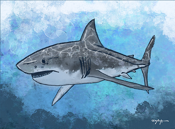 Sea Life Impression Great White Shark Fine Art Canvas Print 18" x 24"