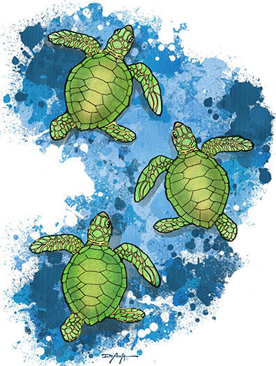 Hatchling Sea Turtles Expressionism Fine Coastal Art Canvas Print