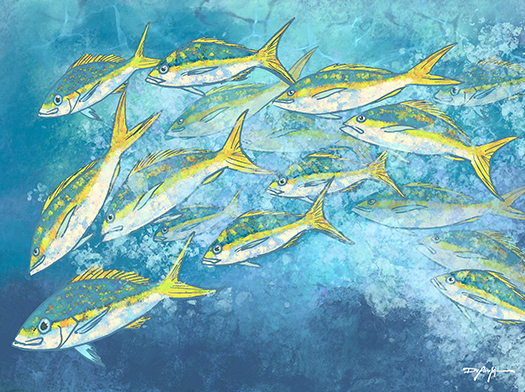 Yellowtail School Fine Art Canvas
