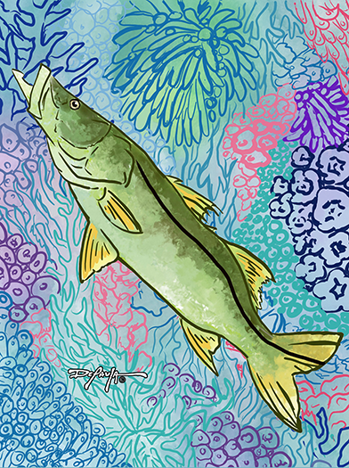 The Ghost of the Mangroves