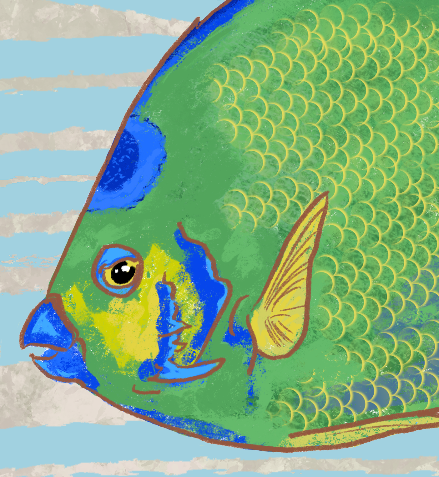 The Reef Angelfish Parrotfish Fine Art Canvas 24" x 36"