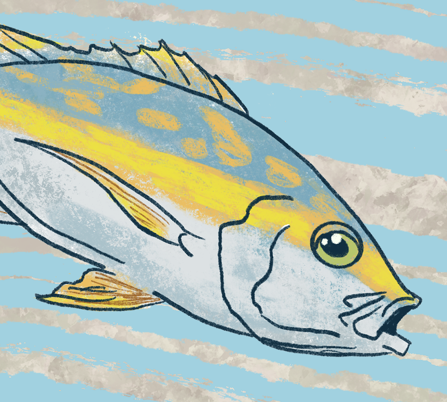 The Reef Eagle Ray Yellowtail Fine Art Canvas 24" x 36"