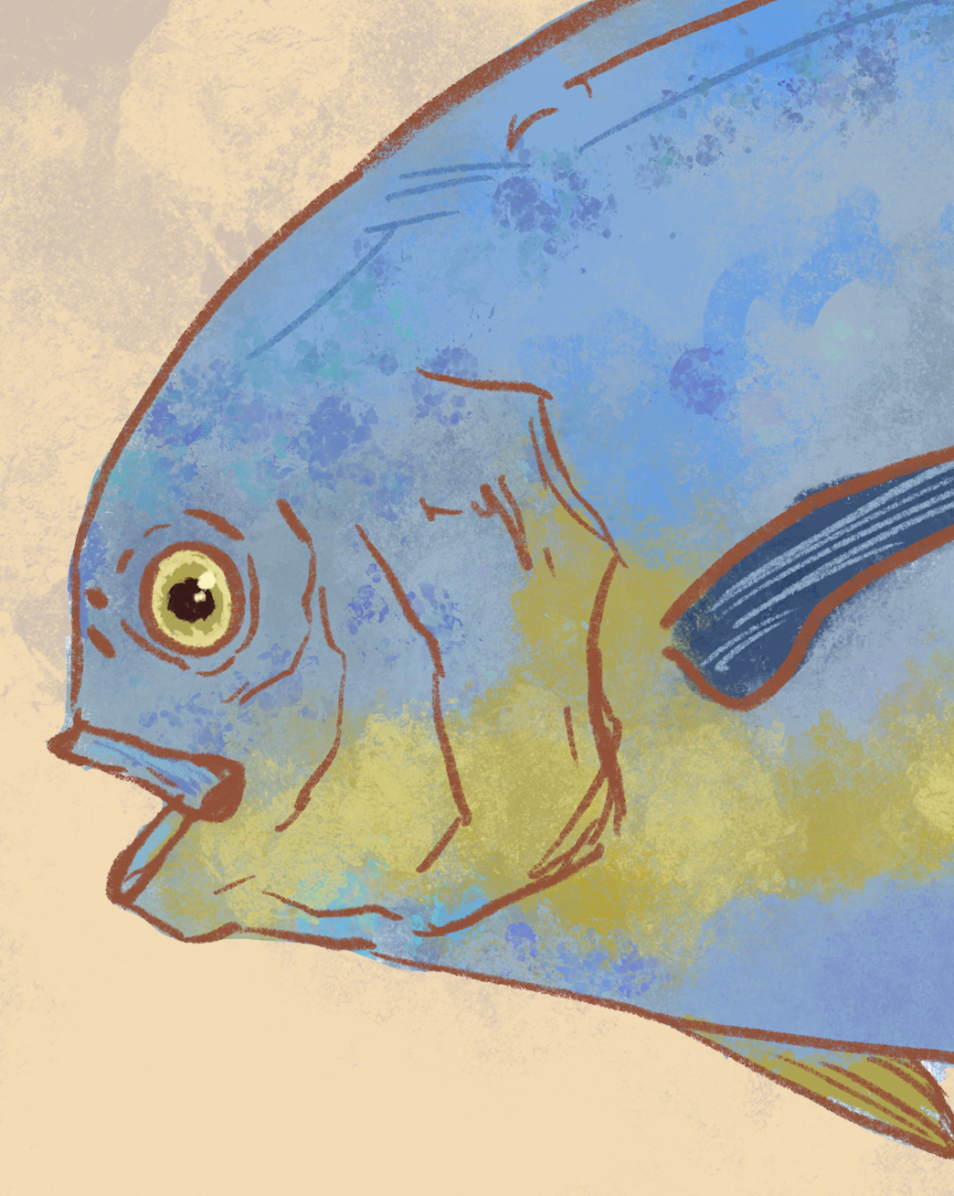 Naturalist Permit Fish Fine Art Print 12" x 18"