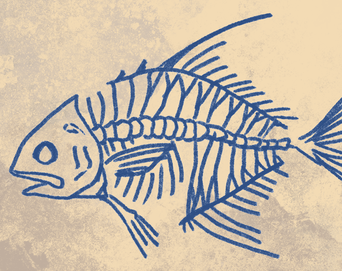 Naturalist Permit Fish Fine Art Print 12" x 18"