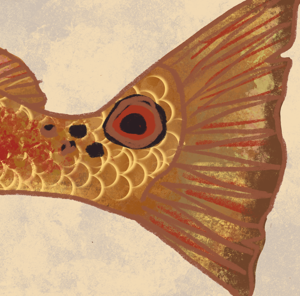 Naturalist Redfish Red Drum Fine Art Print 12" x 18"