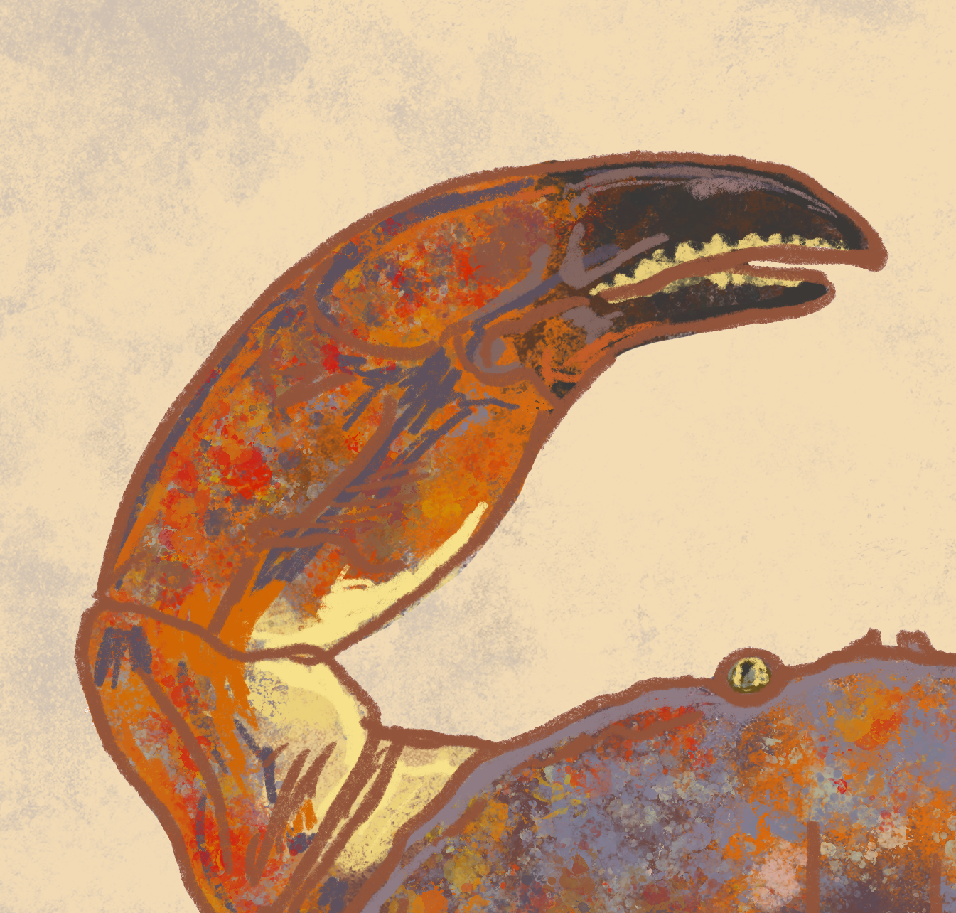 Naturalist Stone Crab Fine Art Print 12" x 18"