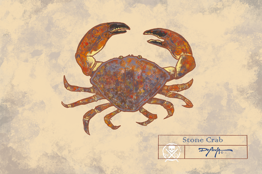 Naturalist Stone Crab Fine Art Print 12" x 18"