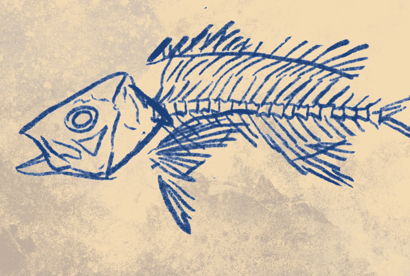 Naturalist Red Snapper Fine Art Print 12" x 18"