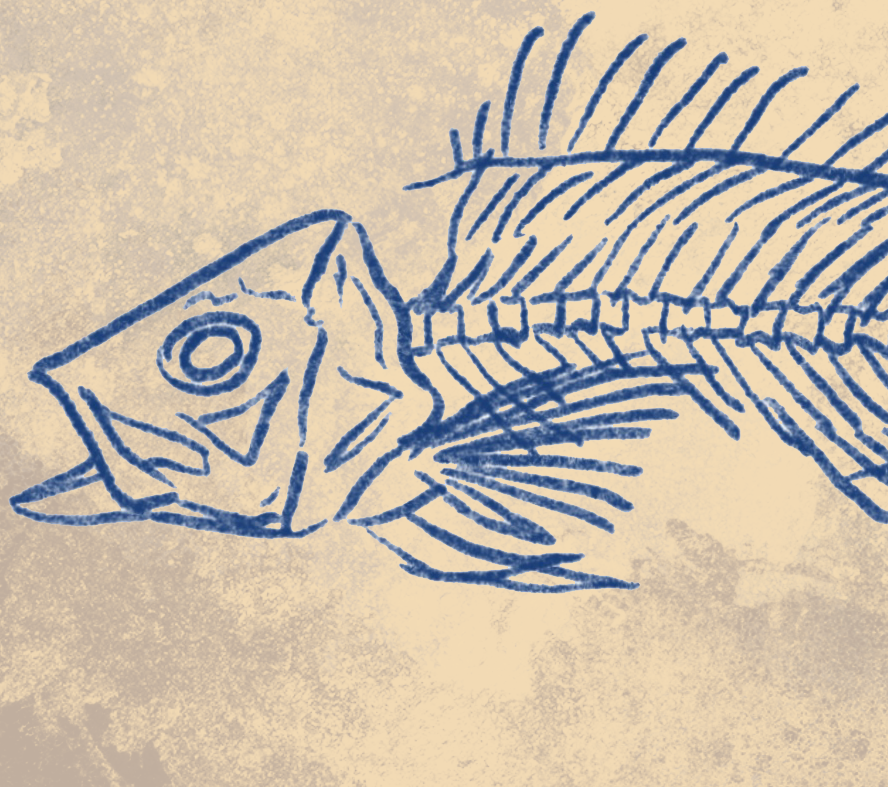 Naturalist Yellowtail Snapper Fine Art Print 12" x 18"