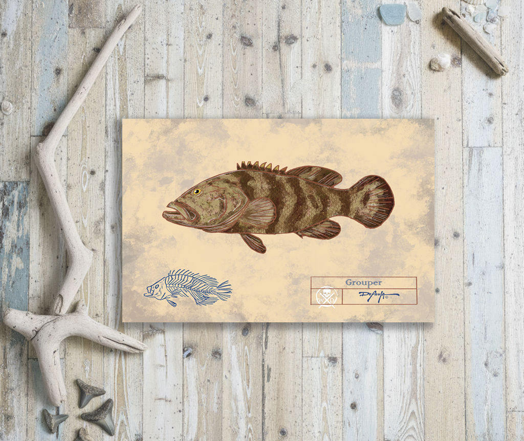 Naturalist Grouper Fine Art Print 12" x 18"