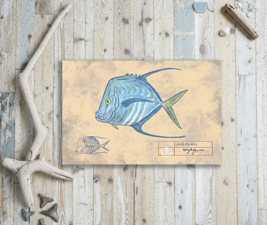 Naturalist Lookdown Fish Fine Art Print 12" x 18"