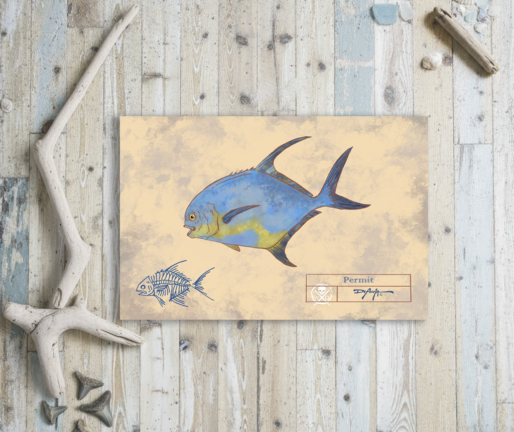 Naturalist Permit Fish Fine Art Print 12" x 18"