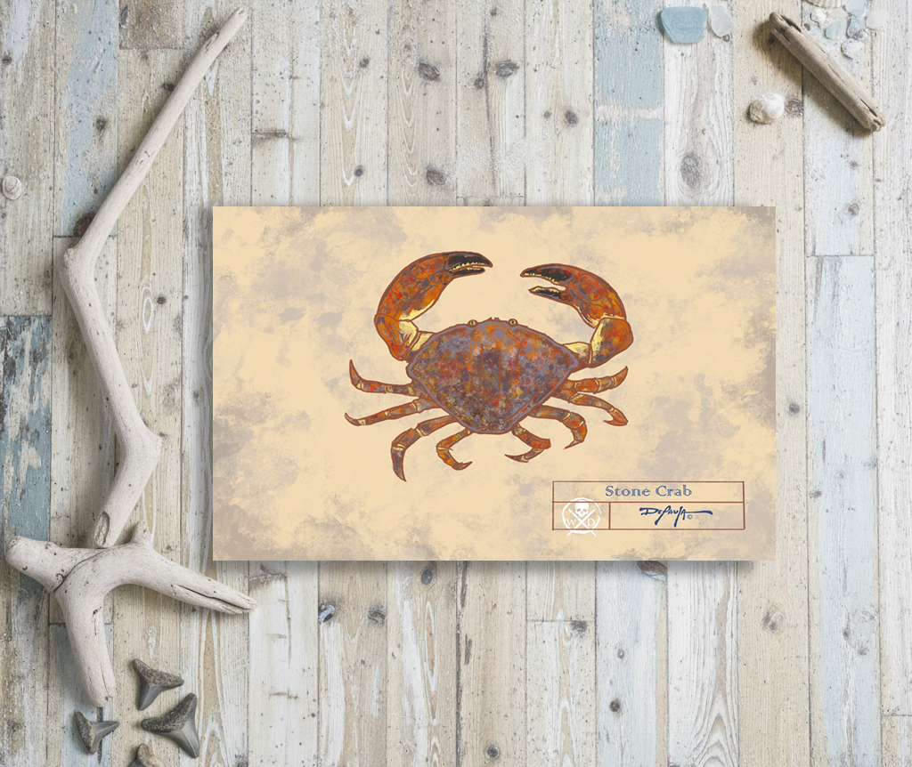Naturalist Stone Crab Fine Art Print 12" x 18"
