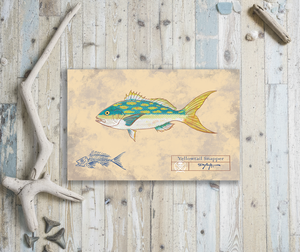 Naturalist Yellowtail Snapper Fine Art Print 12" x 18"
