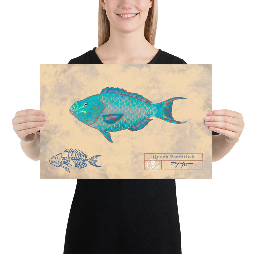Naturalist Queen Parrot fish Fine Art Print