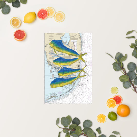 Mahi and Flying Fish Nautical Chart Fine Art Print