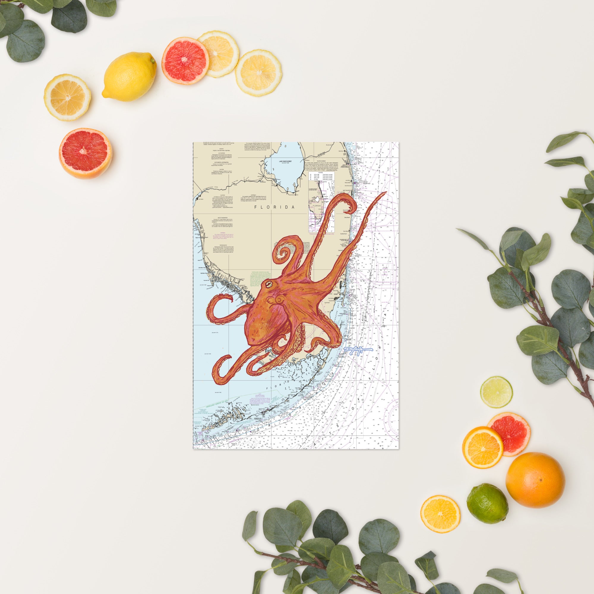 Octopus Nautical Chart Fine Art Print 12