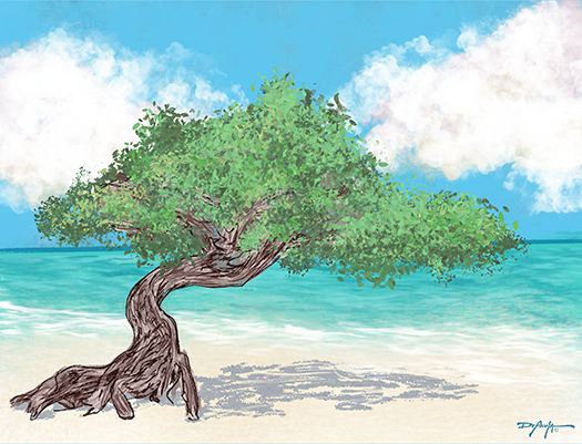Aruba's Fofoti Tree on the Beach Fine Art Canvas