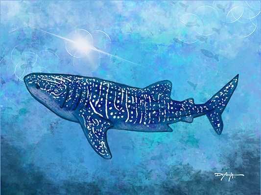 Sea Life Impression Whale Shark Fine Art Canvas Print