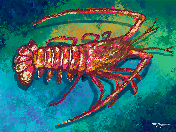 Spiny Lobster Fine Art Canvas