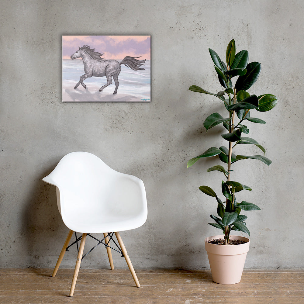 Corolla Wild Beach Horse Fine Art Canvas