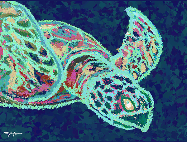 The Neon Turtle Fine Art Canvas