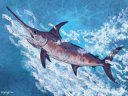 Swordfish Fine Art Canvas