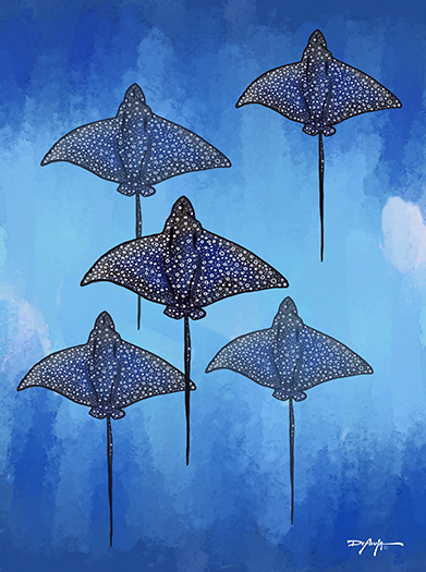 A Fever of Spotted Eagle Rays Fine Art Canvas Print