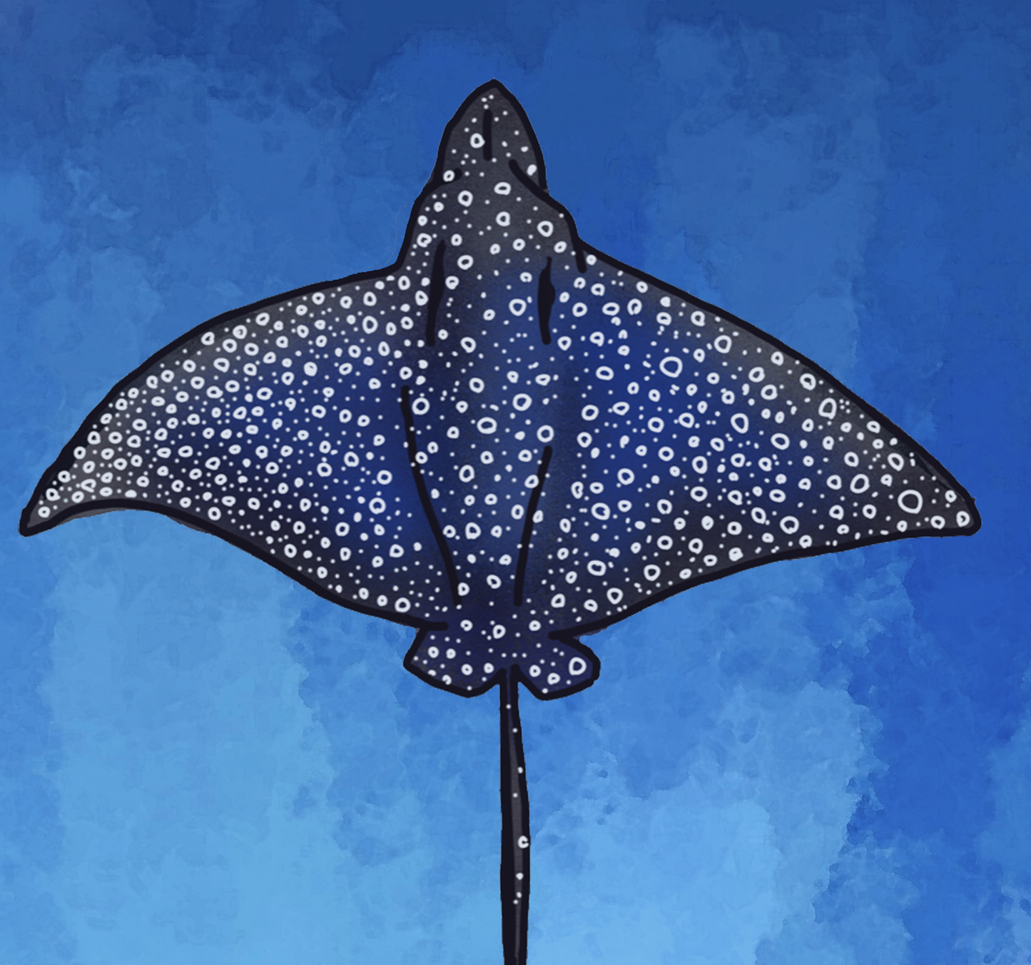 A Fever of Spotted Eagle Rays Fine Art Canvas Print